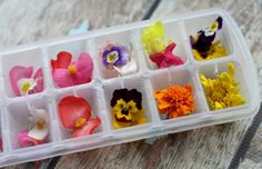 an open plastic container filled with flowers on top of a wooden table