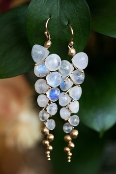 These earrings are infused with the natural movement you would observe in the open waters of the ocean. Rainbow moonstones are strung elegantly on silk thread which lets them wave gently through the air. The gold adds just the right pop of yellow around these gems which reflect beautifully in the sun. These would look lovely paired with a summer dress and floppy hat, or a romantic little black dress. * Fun Fact: Designer Rachel Atherley is a Montana native and graduated from Montana State Univer Wire Wrap Drop Earrings, Nature Hats, Moon Stone Jewelry, Ocean Rainbow, Ocean Inspired Earrings, Briolette Earrings, Moonstone Drop Earrings, Wave Jewelry, Drop Jewelry