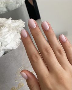 Short Clean Pink Nails, Pale Pink Squoval Nails, Short Nails Milky Pink, Light Pink Painted Nails, Light Natural Nails, Clear Round Nails, Light Pink Short Nails, Short Light Pink Nails, Nails Kurz