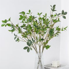 a glass vase filled with green leaves on top of a book next to a candle