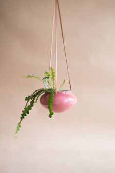 a pink hanging planter with a green plant in it on a beige wall background