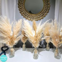 three vases with dried feathers in front of a mirror