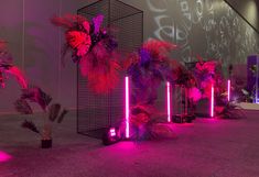 some plants and lights in a room with pink lighting on the walls, and a wall that has writing all over it