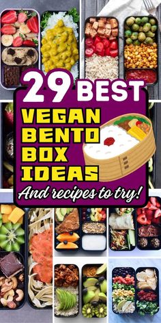 the 29 best vegan bento box ideas and recipes to try