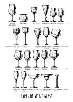 Displate is a one-of-a-kind metal poster designed to capture your unique passions. Sturdy, magnet mounted, and durable – not to mention easy on the eyes! Drawing Types, Types Of Wine Glasses, Wine Glassware, Types Of Drinking Glasses, Vintage Wine Glasses, Types Of Glasses, Wine Guide, Crystal Stemware, Tasting Party