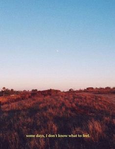 an empty field with the words some days, i don't know what to feel