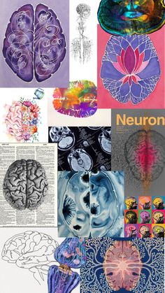 a collage of pictures with different types of brain images and text that reads neurons