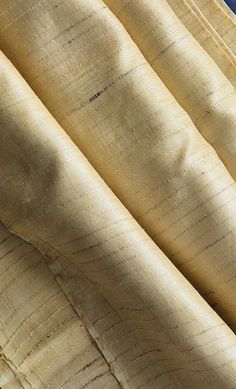 a bird is perched on the side of a banana tree