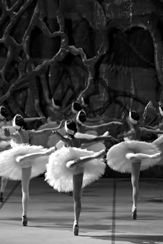 several ballet dancers in white tutus are performing