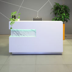 a white reception counter with a plant on top