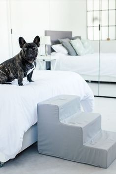 a dog sitting on top of a white bed