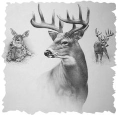 a pencil drawing of two deer with antlers in the background