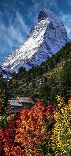 the mountain is covered in snow and colorful trees