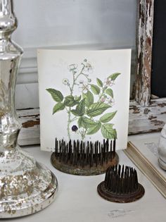 a card sitting on top of a table next to a hair brush and combs