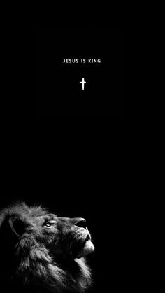 black and white photograph of a lion looking up at a cross on a dark background