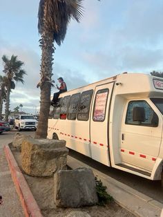 a white bus parked next to a palm tree on the side of a road with two men standing on top of it