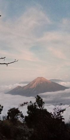 there is a mountain in the distance with clouds around it and trees on the ground