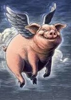 a pig flying through the air with wings