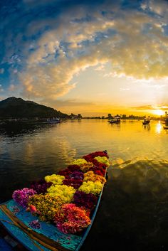 a boat with colorful flowers on the front is in the water as the sun sets