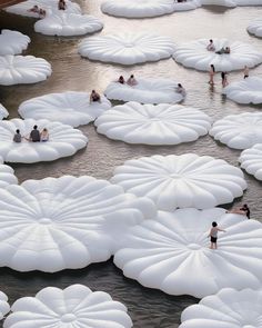 people are swimming in the water surrounded by giant white flowers