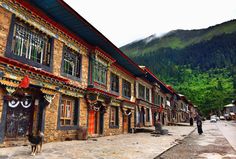 a dog standing in front of an old building with mountains in the backgroud