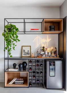 a shelf filled with lots of bottles next to a fridge and a potted plant