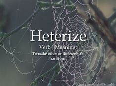 a spider web with the words heterize on it