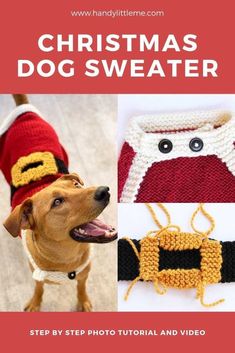 a dog wearing a sweater and hat with the words christmas dog sweater written on it