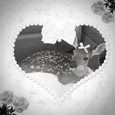 a deer with a bow on its head sitting in a heart shaped frame surrounded by flowers