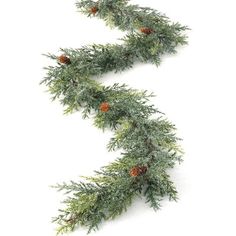 a pine branch with cones hanging from it's end on a white background,