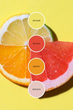 an orange, grapefruit, and watermelon cut in half on a yellow background