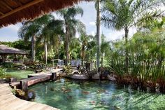 there are many fish swimming in the water at this resort or spa area that's surrounded by palm trees