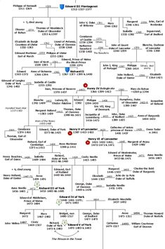 a diagram showing the different types of people in each country, and how they use them