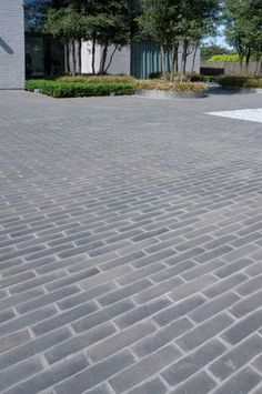 a brick walkway with trees and bushes in the background