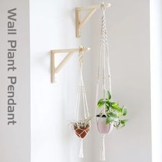 two hanging planters with plants in them