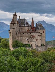 an old castle is surrounded by trees and mountains