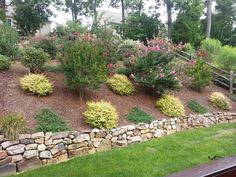 a stone wall with plants growing on it in the middle of a grassy area next to a house