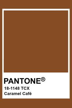 the pantone color is brown and has a white square in it's center