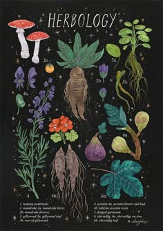 a poster with plants and mushrooms on it's black backgroung cover