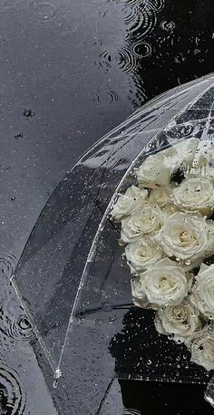 a bouquet of white roses is sitting under an umbrella in the rain on a rainy day