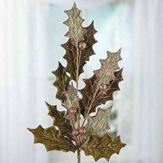 a close up of a plant in a vase on a table with curtains behind it