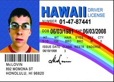 "McLovin ID on a 3.5\" x 2.5\" Metal Magnet With Glossy Finish.A Funny Magnet For Him or Her. A Great Decorating Addition For Your Fridge or Any Metal Surface." Mclovin Id, Funny Flags, Funny Magnets, Id Card Template, 카드 디자인, Driving License, Gag Gifts, How To Get Money, Funny Signs