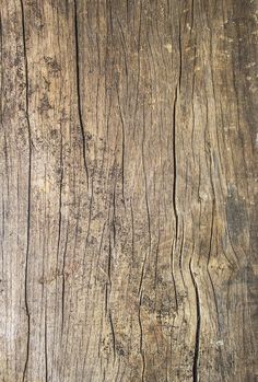 the texture of wood is very old and weathered