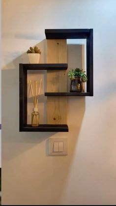 two shelves on the wall with plants and reeds in vases next to each other