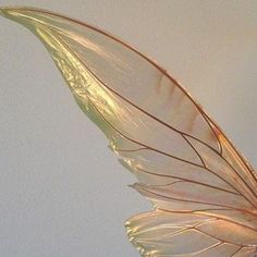 a close up view of the wings of a butterfly on a white surface with blue sky in the background