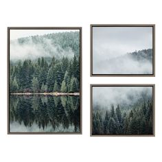 three framed photographs with trees and fog in the background