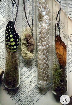 three glass vases filled with different types of plants and insects on top of an old book