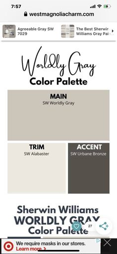 the color scheme for sheryln williams gray