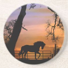 a horse that is standing in the dirt near a fence at sunset or sunrise,