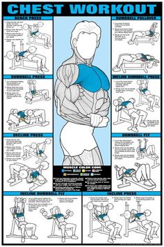 the chest workout poster with instructions